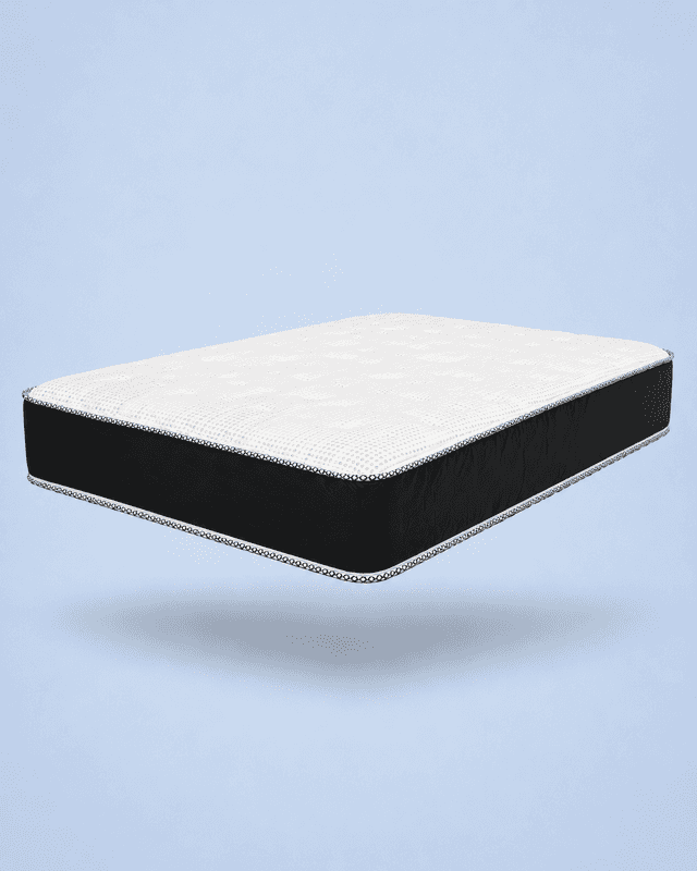 Showcase image 173