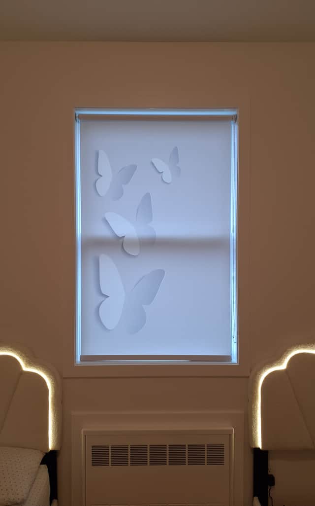 Showcase image 323